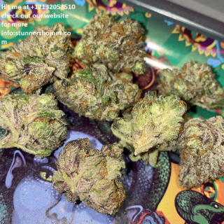 Best of Cannabis