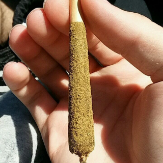 Dankheight24
