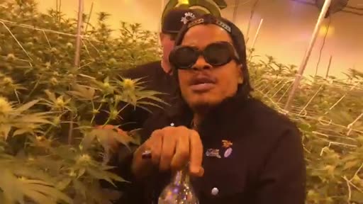 Thumbnail for video titled Freestylin in the weed garden