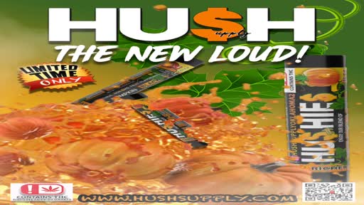 Thumbnail for video titled New Pumpkin HUSHIES